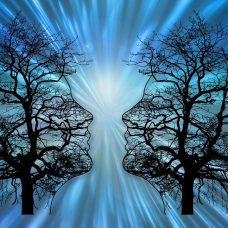 Kahden ihmisen kasvot muodostavat mustat puunrungot, joiden taustalta tulee sinistä valoa. Hieman psykedeelinen kuva.