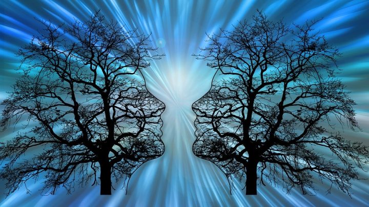 Kahden ihmisen kasvot muodostavat mustat puunrungot, joiden taustalta tulee sinistä valoa. Hieman psykedeelinen kuva.