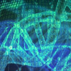 Graafinen kuva, jossa on sinisiä ja vihreitä DNA-ketjuja.