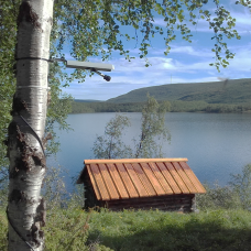 Kesällä otetun kuvan etualalla on koivu, jossa on kiinni tutkimuslaite. Taustalla pieni mökki ja järvi.