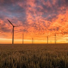 Modern windmills in a field, orange sky in the background.