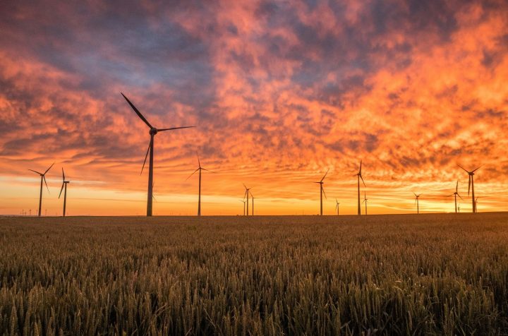 Modern windmills in a field, orange sky in the background.