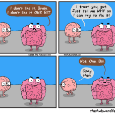 Comic strip of brain and gut talking and gut expressing that they don't like something, but unable to say why.