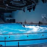 A dolphin show – photo Lauri Ojala