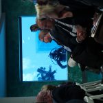 Divers cleaning the tank during our meeting – photo Maria Nykyri