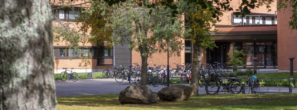 1960–1970-lukujen yliopistobuumi kohensi mielenterveyttä ja lisäsi elinvuosia