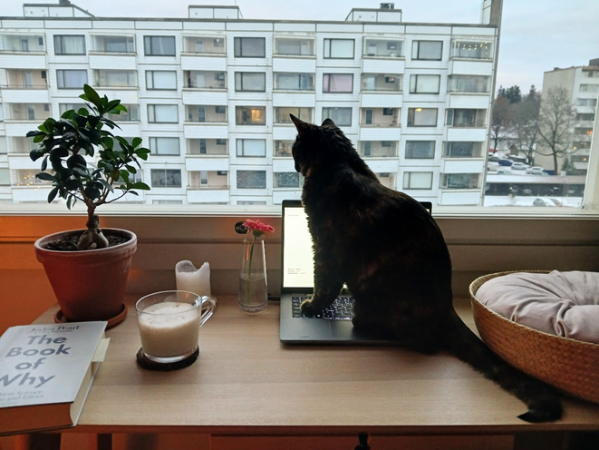 Applying a grant – the process behind GROW and INSEQU projects