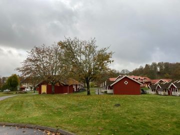 Small red houses in a Swedish countryside.