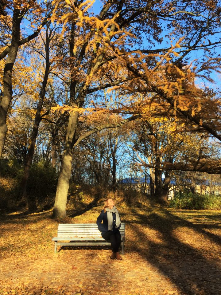 Hammastieteen opiskelija Julia Lumijärvi istuu penkillä syksyisessä maisemassa.