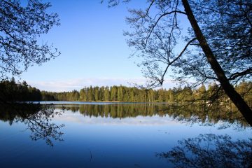 Kansanopiston kautta yliopistoon