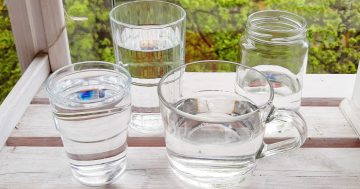 Millaista alkoholitonta toimintaa Turussa on opiskelijalle?