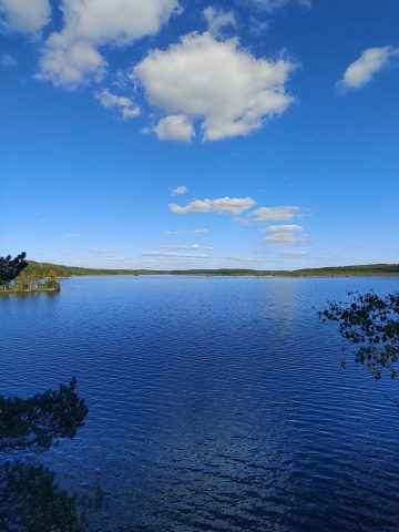 Järvimaisema ja sininen taivas. 