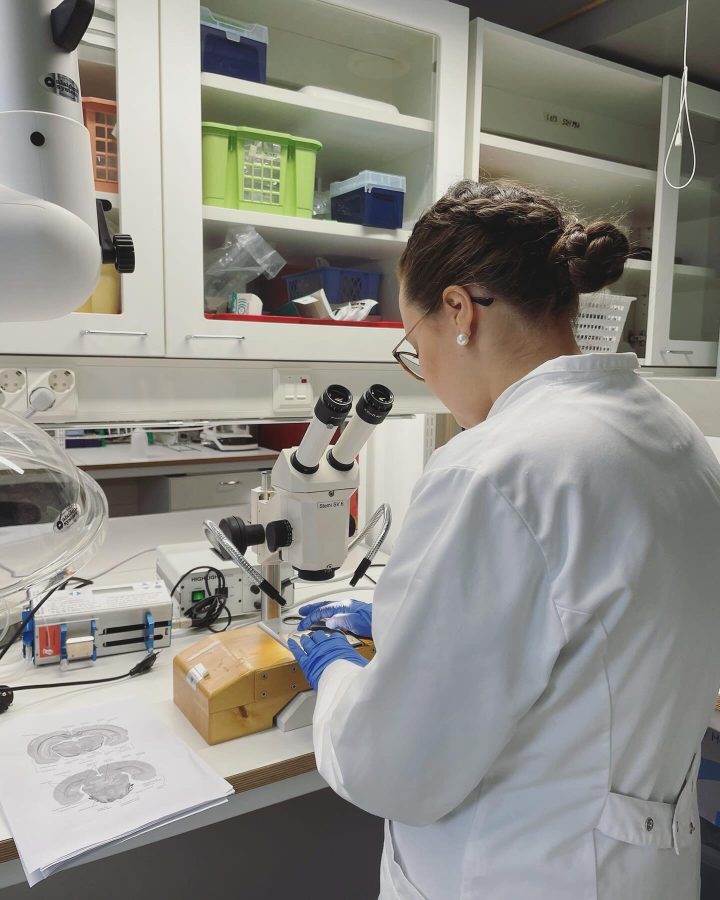 Biolääketieteen opiskelija mikroskoopilla