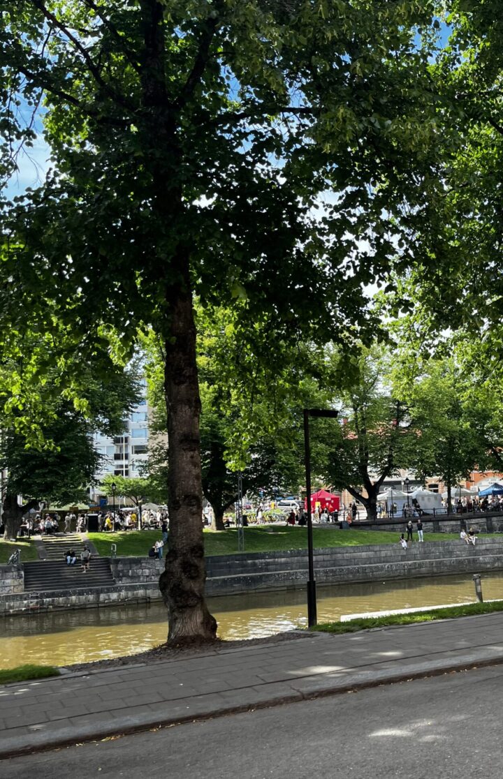 Turun jokiranta kesällä, auransillan kupeesta.