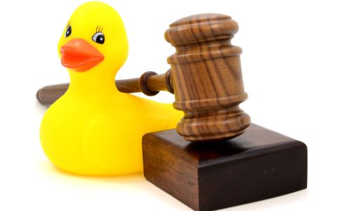 Yhteinen ääni: Päätöksenteko, harkintavalta ja lapsikohtainen valvonta lastensuojelun avohuollossa