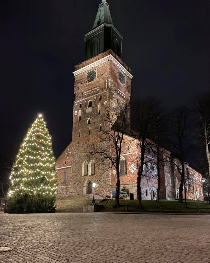 Turku Cathedral and the huge Christmas three light up the pith black city in December.