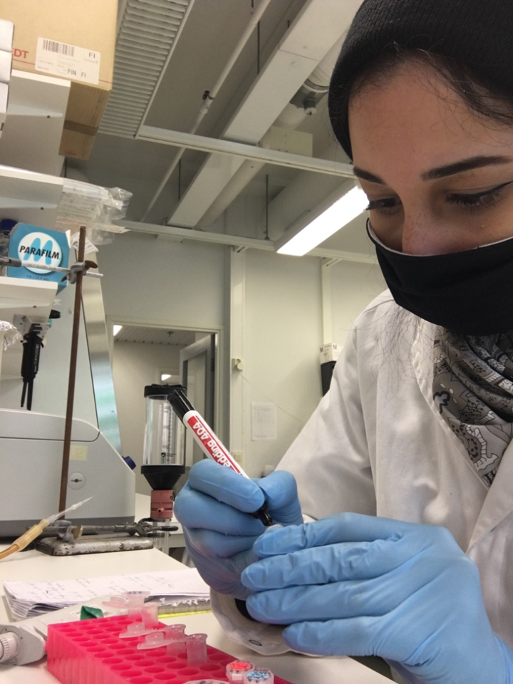 During Eman's internship in the Courtney Lab to study neuronal signaling
