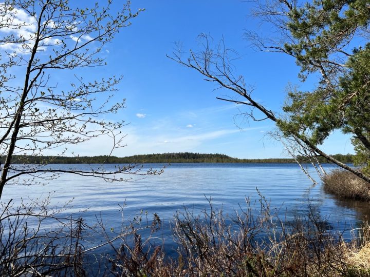 A lake called Savojärvi at the national park called Kurjenrahka Kansallispuisto.