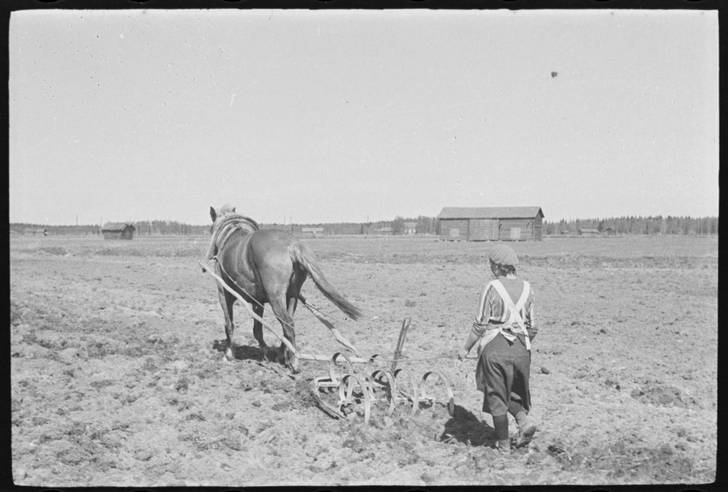 Nainen ja hevonen kyntämässä kesällä mutaisella pellolla. Molemmat ovat selin kameraan.