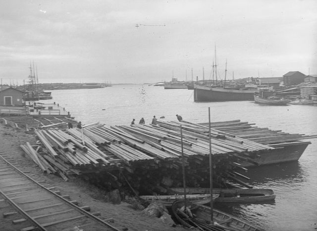 Kuva Viipurin Uuraan satamasta 1900–1929, jossa on varastoituna puutavaraa vientiä varten. Kuva on Kustannusosakeyhtiö Otavan kuvakokoelmasta.