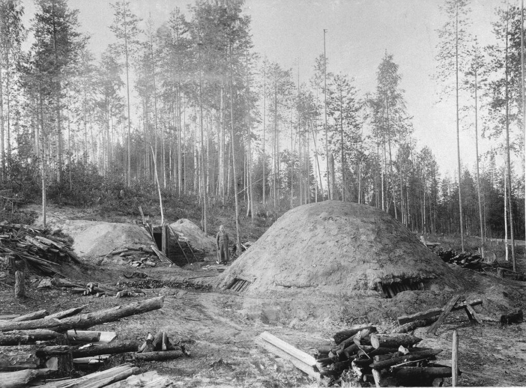 Henkilö seisoo harvan metsän edessä. Maassa on pätkittyjä puunrunkoja ja hänen vieressään korkea kumpare.