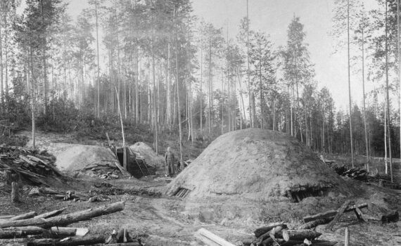 Henkilö seisoo harvan metsän edessä. Maassa on pätkittyjä puunrunkoja ja hänen vieressään korkea kumpare.