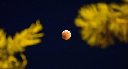 Punainen kuu taivaalla. Kuvan etualalla epätarkkana havupuiden oksia.